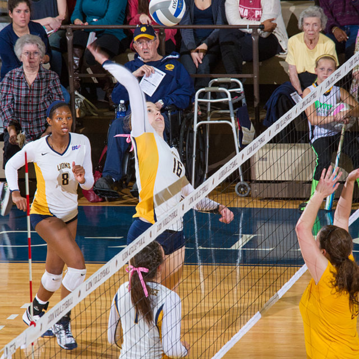 At What Age Can My Child Start Playing Volleyball? JRZY